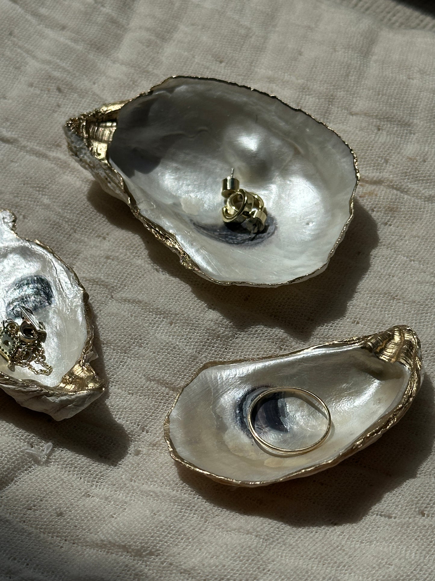 Pearlescent Oyster Design